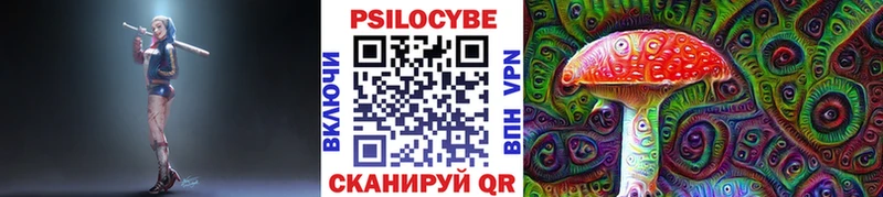 Купить  Снежногорск  Галлюциногенные грибы Psilocybe 